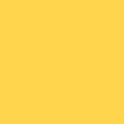 Brand Identity Icon
